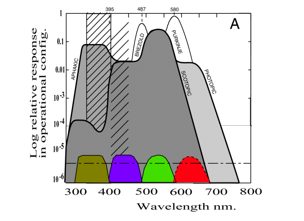 Composite spectral sensitivity function